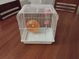 Jaula hamster