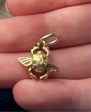Charm escarabajo