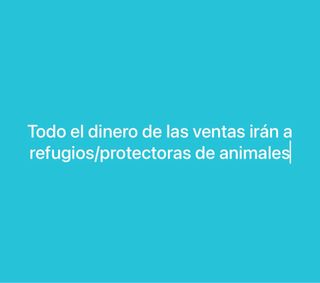 chandal nike niño