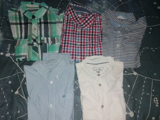 Lote camisas