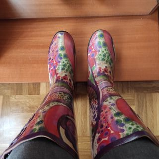 Botas de agua (katiuskas)