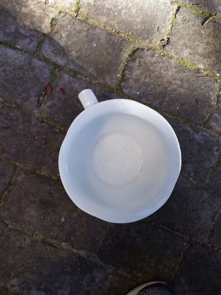 Orinal La Cartuja Pickman