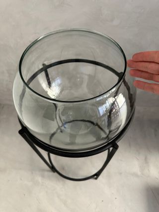 Terrario/burbuja de vidrio con base de metal negro