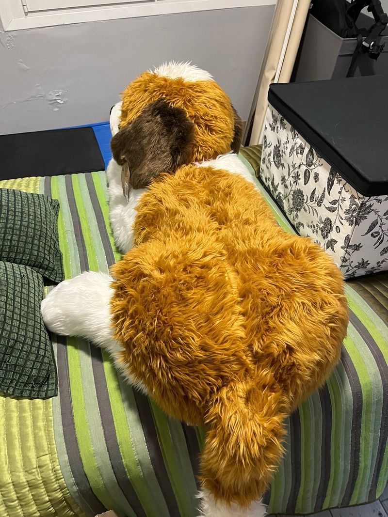 Perro Oso Peluche Gigante El Corte InglÃ©s Perros Gigantes De