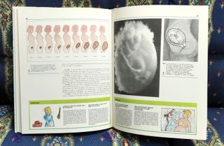 Curso formativo para padres - 6 tomos