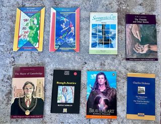 Lote 11 Libros Ingles, Lectura, diccionario