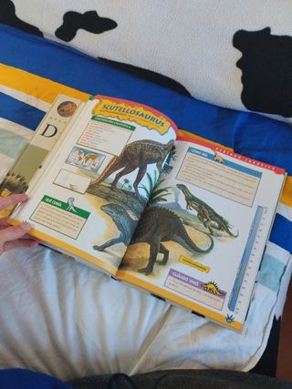 Pack de libros de dinosaurios