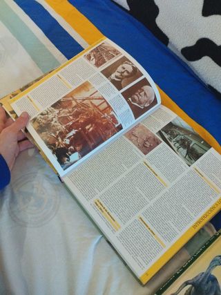 Pack de libros de dinosaurios