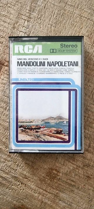 Mc Gino Del Vescovo e i suoi mandolini napoletani 