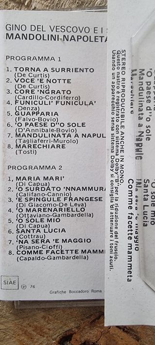 Mc Gino Del Vescovo e i suoi mandolini napoletani 