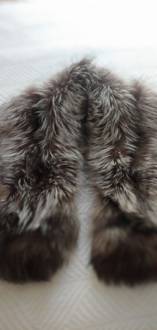 Chal de zorro plateado