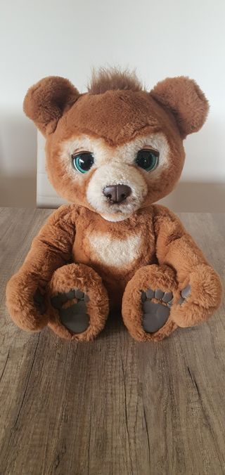 Oso Pardo Oso Curioso Juguete Hasbro Cubby El Oso Curioso Bodega