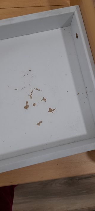 Mesa de Cocina plegable, dos sillas y un taburete