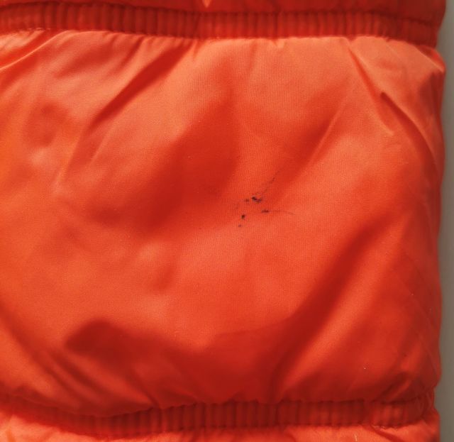 Giubbotto da donna invernale imbottito Terranova