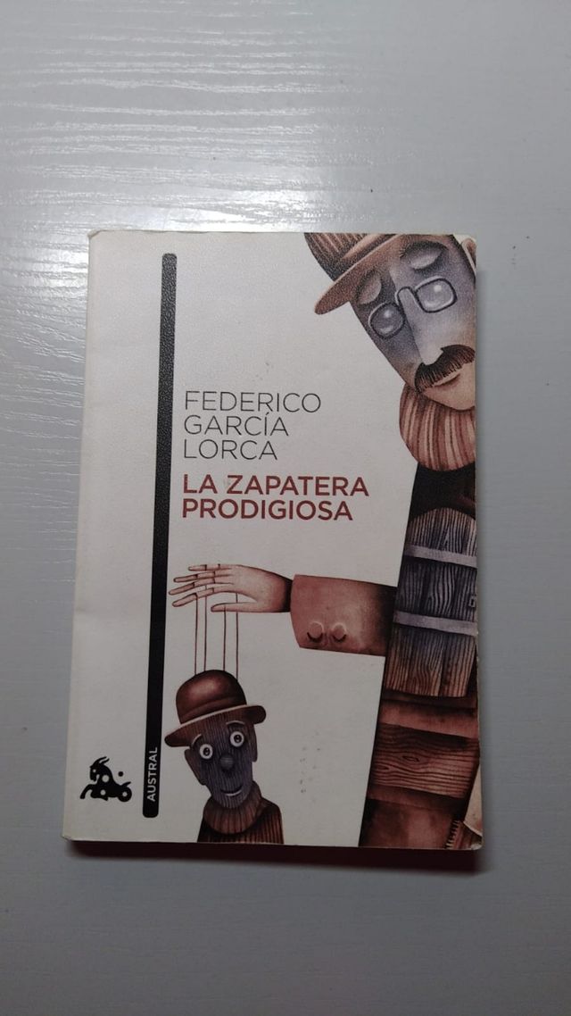 Libro lectura