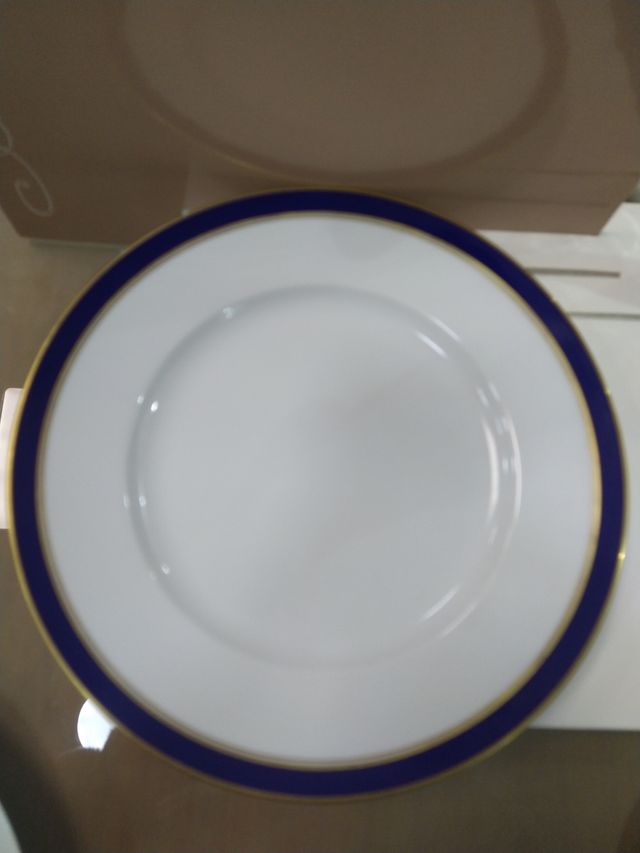 N.1 PIATTO PIANO RICHARD GINORI