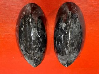 carcasa fibra de carbono real Bmw E91,E92,E93