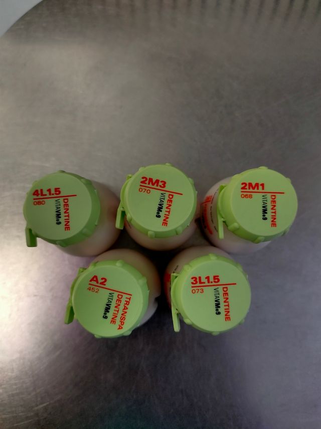 Ceramica dentale Vita VM9