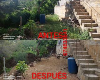 JARDINERO ECONÓMICO