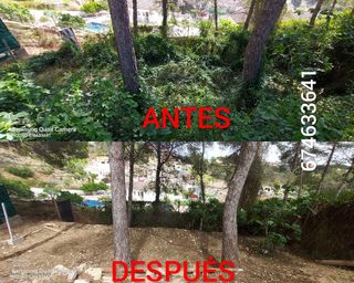 JARDINERO ECONÓMICO