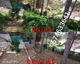 JARDINERO ECONÓMICO