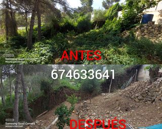 JARDINERO ECONÓMICO