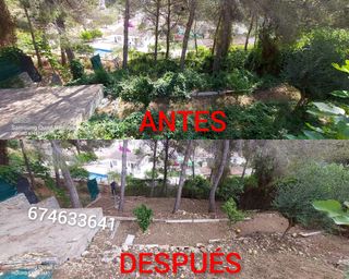 JARDINERO ECONÓMICO