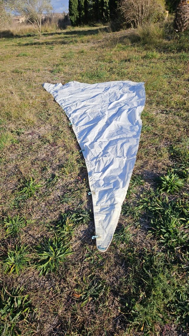 Tormentin en perfecto estado