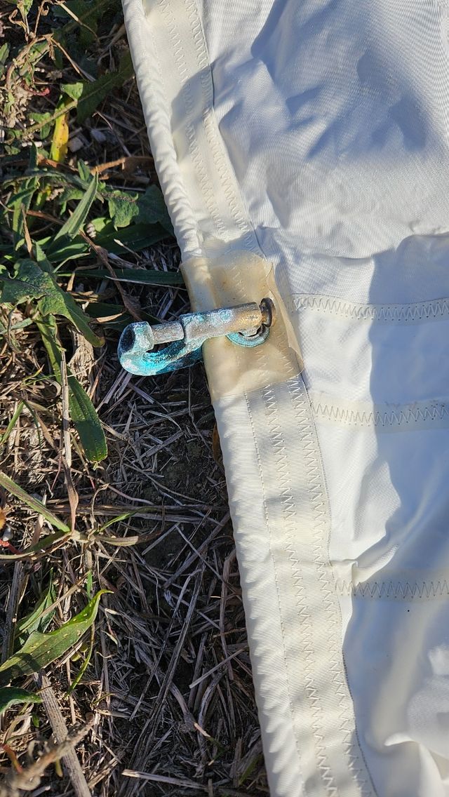 Tormentin en perfecto estado