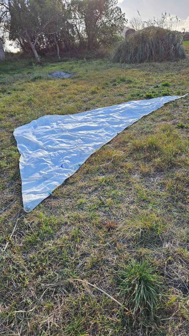 Tormentin en perfecto estado