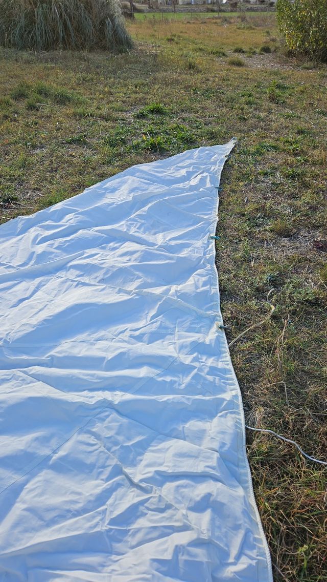 Tormentin en perfecto estado