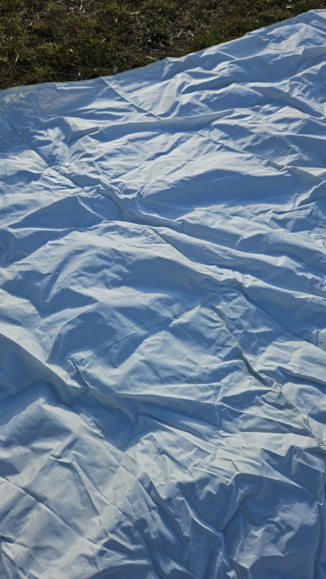 Tormentin en perfecto estado