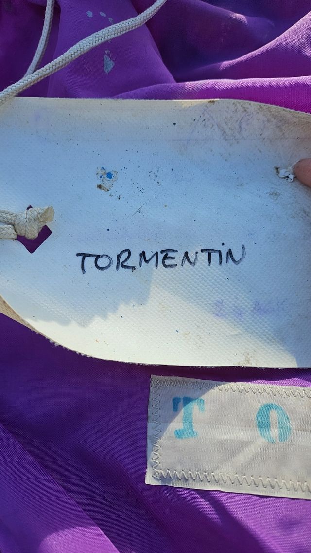 Tormentin en perfecto estado