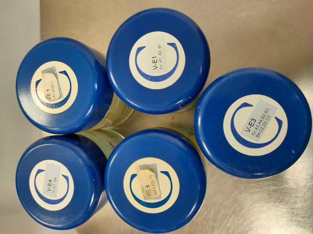 Ceramica dentale CARAT