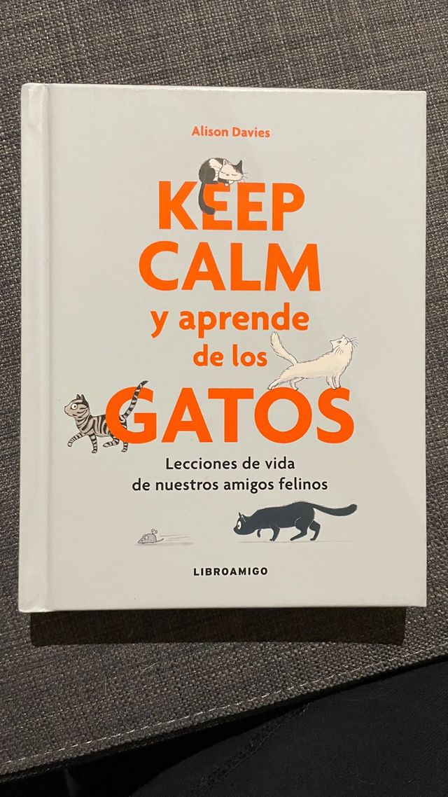 keep calm y aprende de los gatos