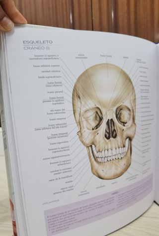 Atlas de anatomía