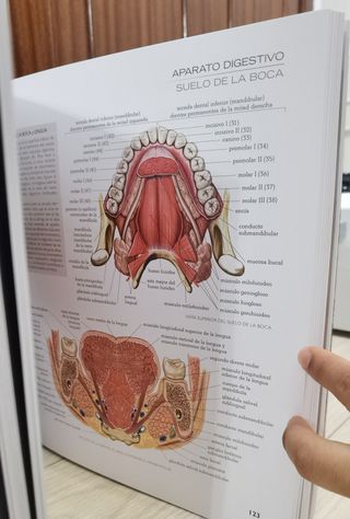Atlas de anatomía