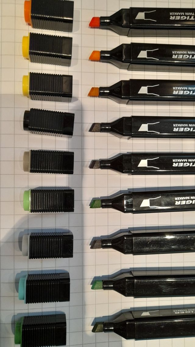 Tiger. Set 9 pennarelli