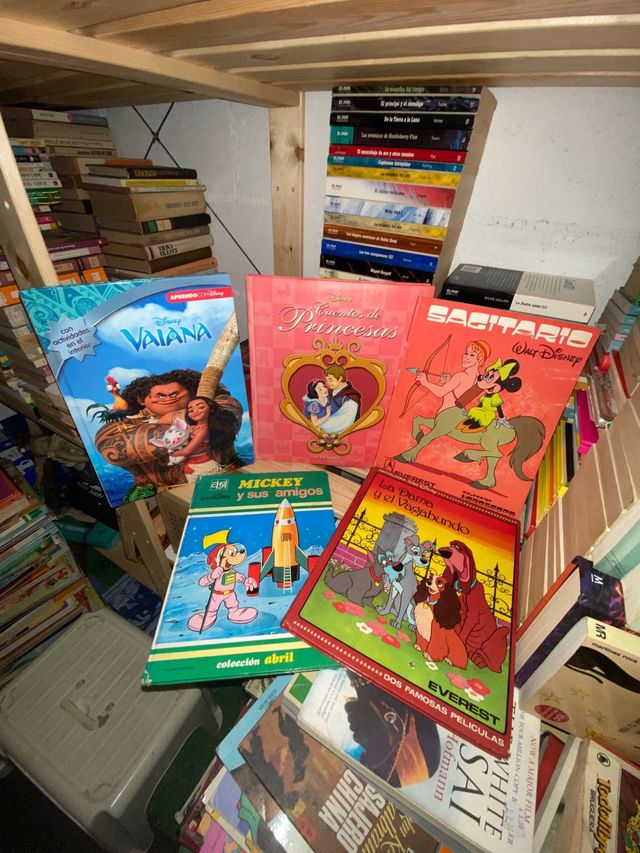 Lote cuentos Disney