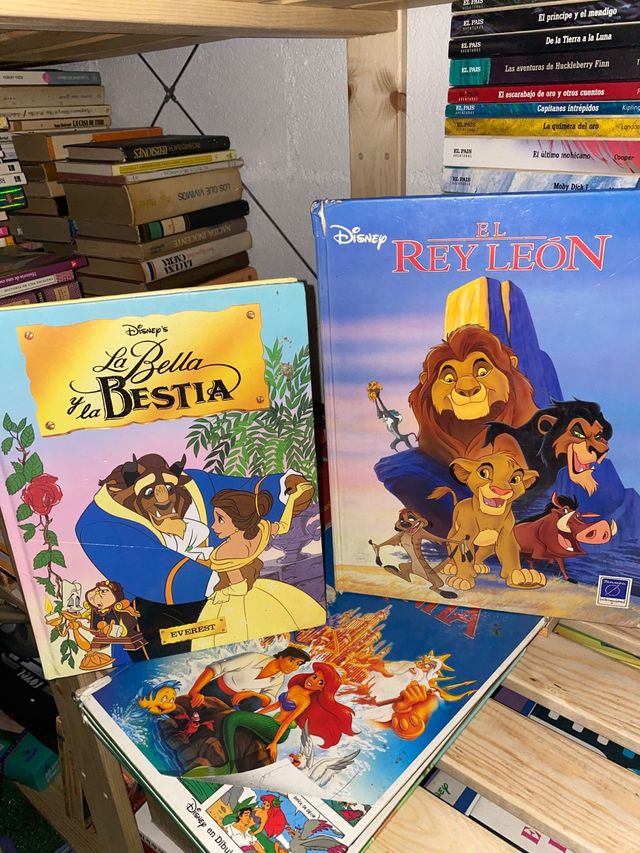 Lote cuentos Disney