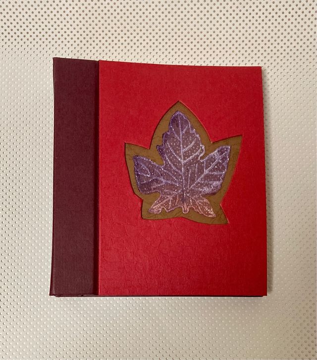 Albúm para fotos 15x20 y 10x15.