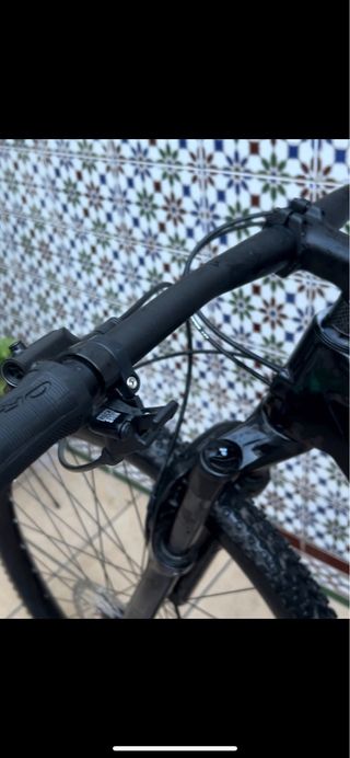 Bicicleta Orbea Alma M50 29 Carbono