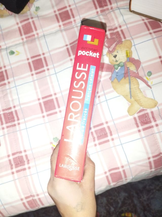 Diccionario Larousse