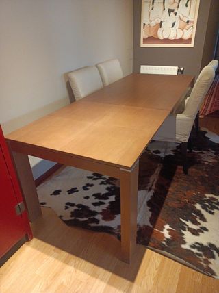 Mesa grande y sillas comedor