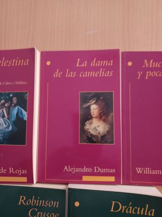 Libros de literatura.