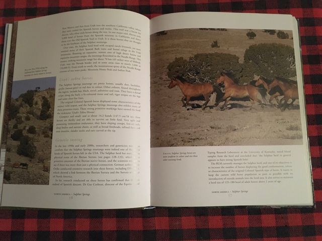 LIBRO SOBRE CABALLOS SALVAJES DEL MUNDO