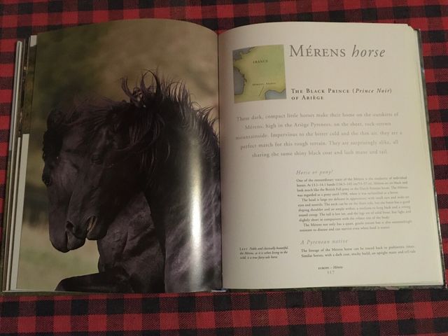 LIBRO SOBRE CABALLOS SALVAJES DEL MUNDO