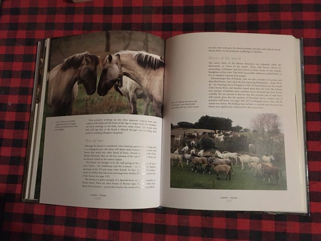 LIBRO SOBRE CABALLOS SALVAJES DEL MUNDO
