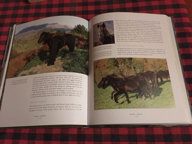 LIBRO SOBRE CABALLOS SALVAJES DEL MUNDO