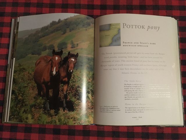 LIBRO SOBRE CABALLOS SALVAJES DEL MUNDO